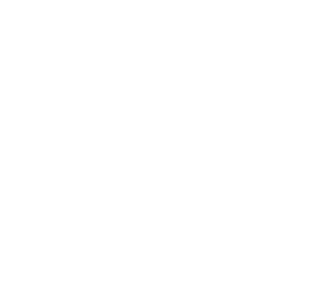 A Journey of Innovation