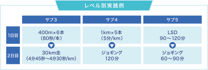 レベル別実践例