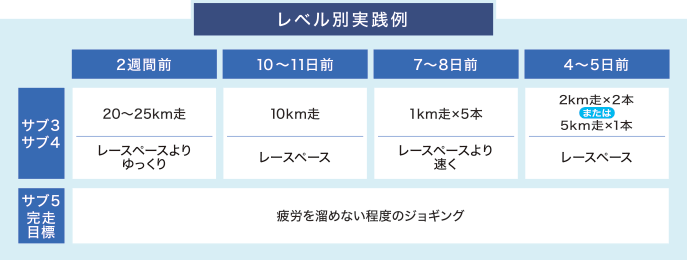 レベル別実践例