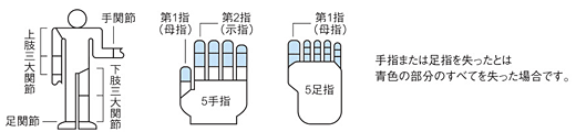 身体区分図