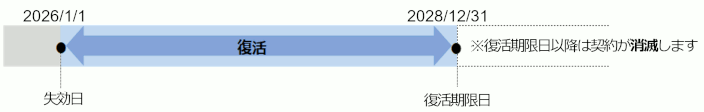 失効日が2026年1月1日以前の場合の例