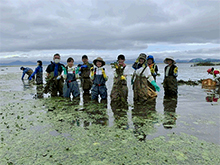 湖でのヒシ除去活動