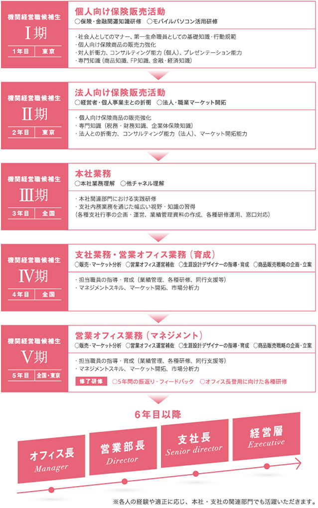 5年間の育成カリキュラム