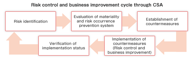 Risk control and business improvement cycle through CSA