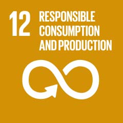 12.Responsible consumption and production