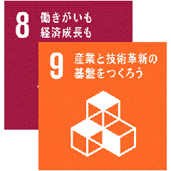 8.Decent work and economic growth-9.Industry, innovation and infrastructure