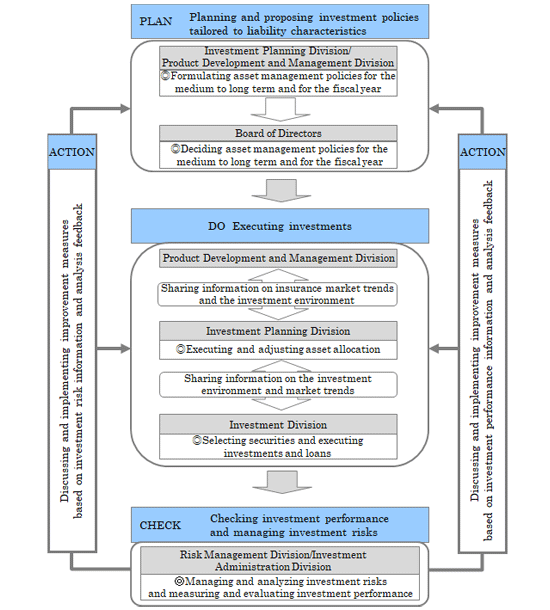 Our Process