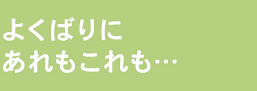 よくばりにあれもこれも…