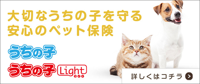 大切なうちの子を守る安心のペット保険 うちの子 うちの子Light