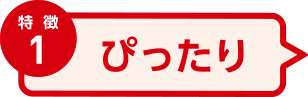 特徴1 ぴったり