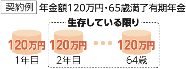 契約例 年金額120万円・65歳満了有期年金