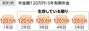 契約例 年金額120万円・5年有期年金