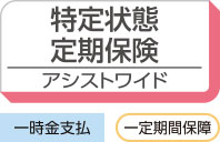 特定状態定期保険 アシストワイド