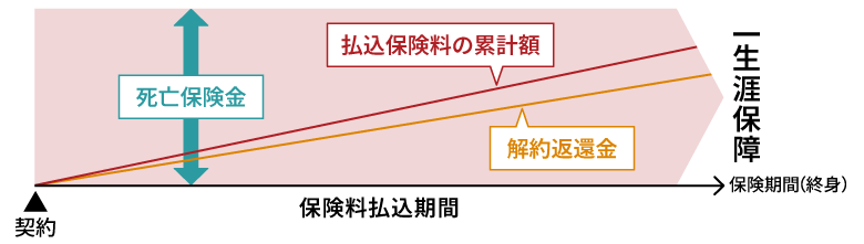 終身保険（終身払）のイメージ
