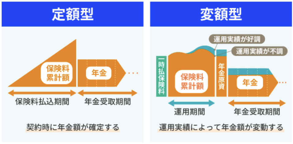 個人年金保険の運用方法（定額・変額）
