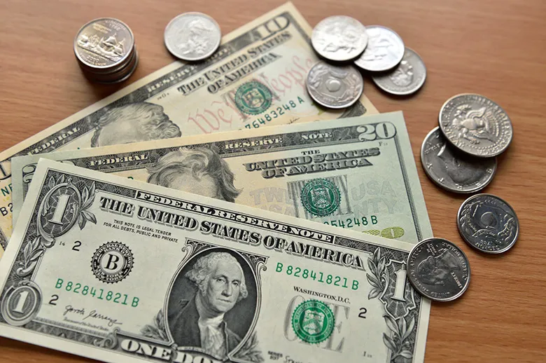 ドル建て保険（外貨建保険）とは？メリット・デメリットを解説