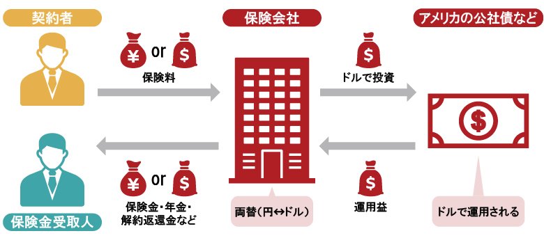 ドル建て保険の仕組み