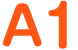 A1