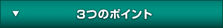 3つのポイント