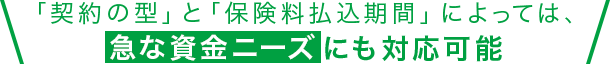 「契約の型」と「保険料払込期間」によっては急な資金ニーズにも対応可能