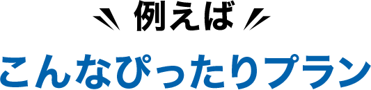 例えばこんなぴったりプラン