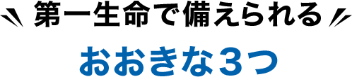 第一生命で備えられるおおきな３つ