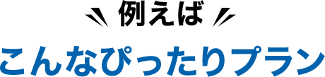 例えばこんなぴったりプラン
